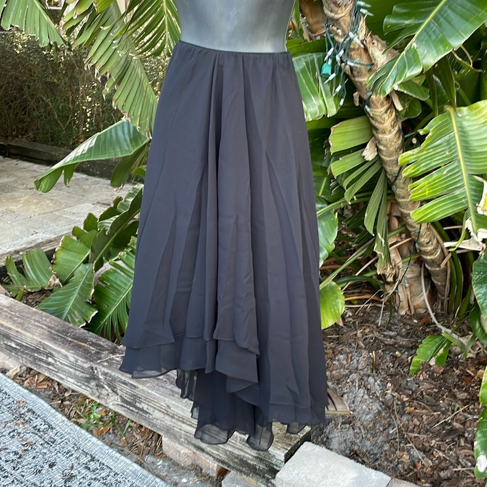 Alex evenings, Hilow sheer maxi skirt